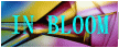 banner1.gif